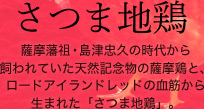 さつま地鶏 薩摩藩祖島津忠久の時代から 飼われていた天然記念物の薩摩鶏と、 ロードアイランドレッドの血筋から 生まれた「さつま地鶏」。