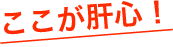 ここが肝心！