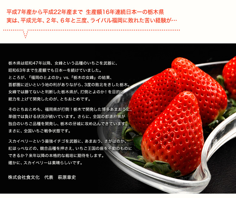 平成7年産から平成22年産まで 生産額16年連続日本一の栃木県 
実は、平成元年、２年、６年と三度、ライバル福岡に敗れた苦い経験が…
栃木県は昭和47年以降、女峰という品種のいちごを武器に、昭和63年まで生産額でも日本一を続けていました。ところが、『福岡のとよのか』vs.『栃木の女峰』の結果、首都圏に近いという地の利がありながら、3度の敗北をきした栃木。女峰では勝てないと判断した栃木県が、打倒とよのか！を目的に総力を上げて開発したのが、とちおとめです。そのとちおとめも、福岡県が打倒！栃木で開発した博多あまおうに、単価では負ける状況が続いています。さらに、全国の都道府県が独自のいちご品種を開発し、栃木の牙城に攻め込んできています。まさに、全国いちご戦争状態です。
スカイベリーという最強イチゴを武器に、あまおう、さがほのか、紅ほっぺなどの、競合品種を押さえ、いちご王国の座を不動のものにできるか？来年以降の本格的な栽培に期待をします。確かに、スカイベリーは素晴らしいです。
株式会社食文化　代表　萩原章史
