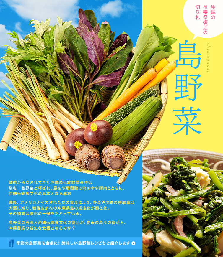 「沖縄の長寿県復活の切り札　島野菜」戦前から食されてきた沖縄の伝統的農産物は別名：島野菜と呼ばれ、昆布や珊瑚礁の海の幸や豚肉とともに、沖縄伝統食文化の基本となる素材。戦後、アメリカナイズされた食の普及により、野菜や昆布の摂取量は大幅に減り、戦後生まれの沖縄県民の短命化が顕在化。その傾向は悪化の一途をたどっている。島野菜の再興と沖縄伝統食文化の復活が、長寿の島々の復活と、沖縄農業の新たな武器となるのか？