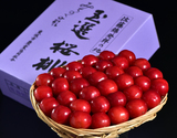 6/23〜7/5出荷◇ 『かご盛り 大粒さくらんぼ（紅秀峰・紅てまりなど）』 山形県産東根市大富地区こだわり かごの会 特秀品 2〜3L 約500g 化粧箱 風袋込 ※冷蔵