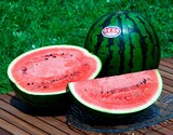 6/16〜21出荷◇ 『大栄西瓜』鳥取県産 秀 1玉 2〜4L 約7〜9kg 簡易箱【GI産品】